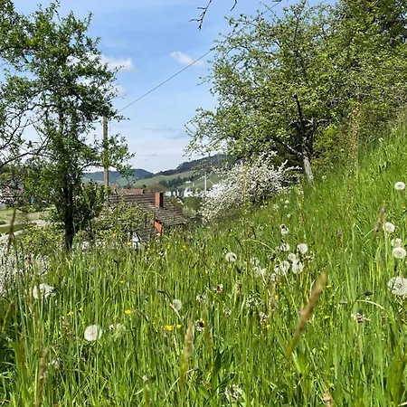 Mansarde Hesselbach Appartement